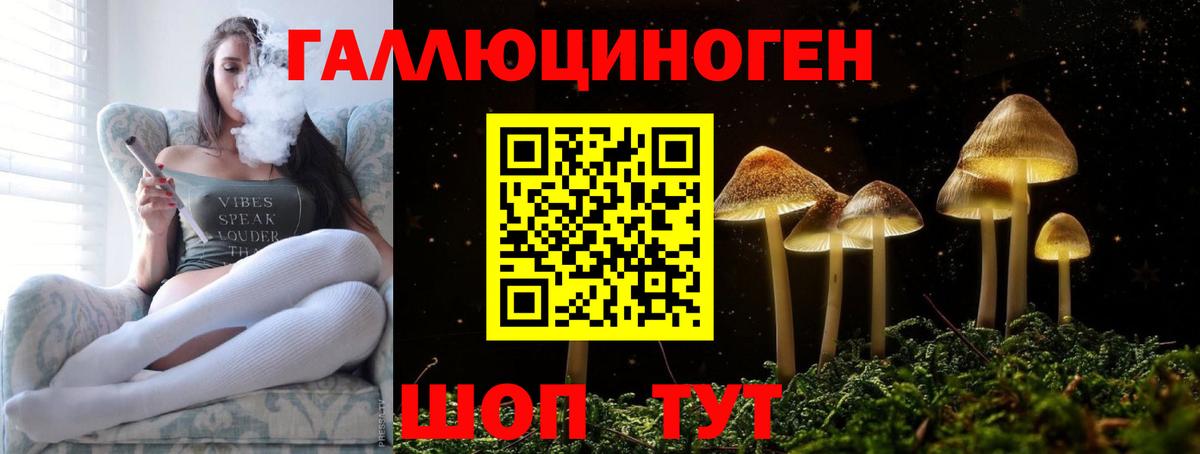 Галлюциногенные грибы Psilocybe  Вход с VPN  Когалым 